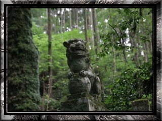 A forest shrine in japan