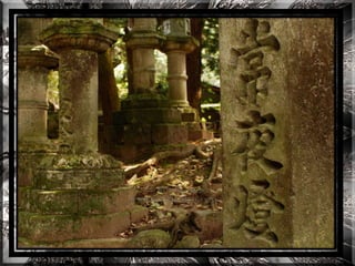 A forest shrine in japan