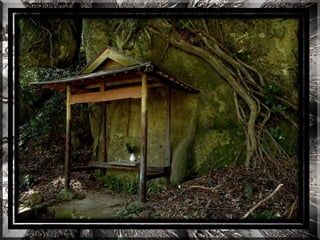 A forest shrine in japan