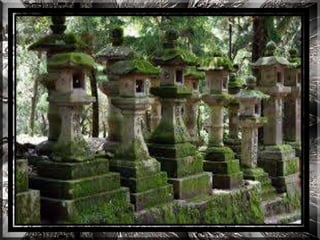 A forest shrine in japan