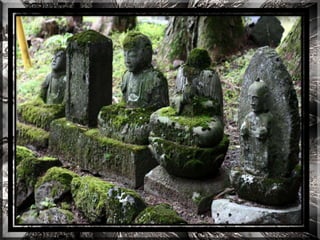 A forest shrine in japan