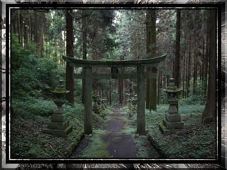 A forest shrine in japan