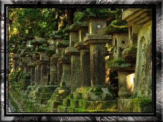 A forest shrine in japan