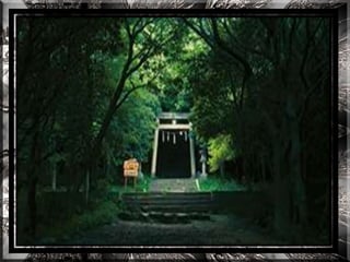 A forest shrine in japan