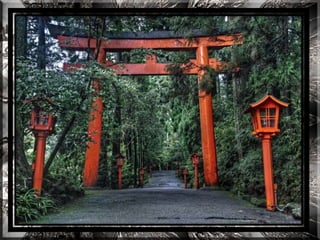 A forest shrine in japan