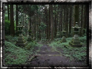 A forest shrine in japan