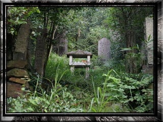 A forest shrine in japan