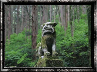 A forest shrine in japan