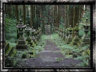 A forest shrine in japan