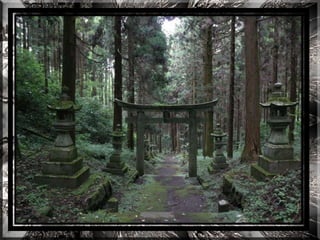 A forest shrine in japan