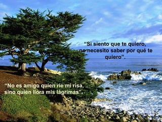 “Si siento que te quiero,
                             no necesito saber por qué te
                                       quiero”.




“No es amigo quien ríe mi risa,
sino quien llora mis lágrimas”.
 