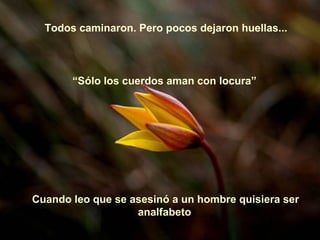 Todos caminaron. Pero pocos dejaron huellas...



       “Sólo los cuerdos aman con locura”




Cuando leo que se asesinó a un hombre quisiera ser
                   analfabeto
 