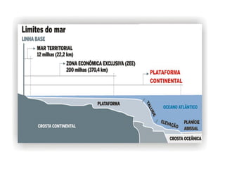 A formaçao territoral do Brasil 