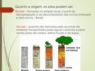 Quanto a origem, os solos podem ser:
Eluviais – formados no próprio local, a partir da
desagregação e da decomposição das rochas (massapê
e terra rocha – Brasil);
Aluviais – quando são formados pelo acumulo de
materiais transportados pelas águas correntes e pelos
ventos (solos de várzea, deltas fluviais e de loess).
 