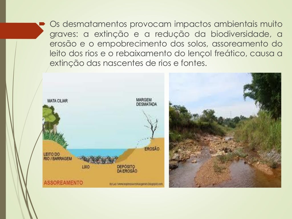 Com Relação à Formação Dos Solos Assinale A Alternativa Correta