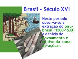Brasil - Século XVI
Neste período
observa-se a
extração do pau-
brasil (1500-1530)
e o início do
povoamento e
cultivo da cana-
de-açúcar.
 