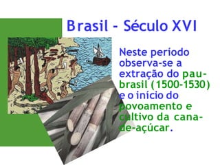 Formação do território brasileiro 