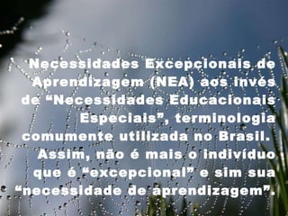 27/09/11 Necessidades Excepcionais de Aprendizagem (NEA) aos invés de “Necessidades Educacionais Especiais”, terminologia comumente utilizada no Brasil.  Assim, não é mais o indivíduo que é “excepcional” e sim sua “necessidade de aprendizagem”.  