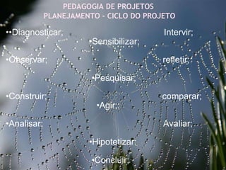 27/09/11 PEDAGOGIA DE PROJETOS  PLANEJAMENTO – CICLO DO PROJETO •• Diagnosticar;  Intervir; • Sensibilizar;  • Observar;  refletir;  • Pesquisar;  • Construir;  comparar; • Agir;; • Analisar;  Avaliar;  • Hipotetizar; • Concluir;         