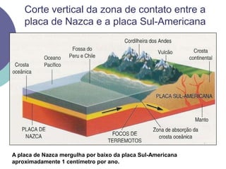 Corte vertical da zona de contato entre a placa de Nazca e a placa Sul-AmericanaA placa de Nazca mergulha por baixo da placa Sul-Americana aproximadamente 1 centímetro por ano.