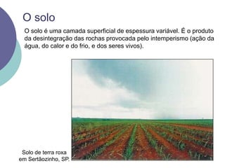O soloO solo é uma camada superficial de espessura variável. É o produto da desintegração das rochas provocada pelo intemperismo (ação da água, do calor e do frio, e dos seres vivos).Solo de terra roxa em Sertãozinho, SP.