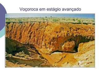Voçoroca em estágio avançado
