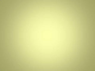 A formação do terri´torio brasileiro