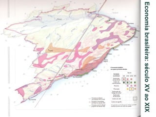 Economia brasileira: século XV ao XIX

 