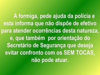 A formiga, pede ajuda da polícia e esta informa que não dispõe de efetivo para atender ocorrências desta natureza, e, que também  por orientação do Secretário de Segurança que deseja evitar confronto com os SEM TOCAS, não pode atuar. 