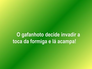 O gafanhoto decide invadir a toca da formiga e lá acampa! 