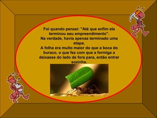 Foi quando pensei: "Até que enfim ela terminou seu empreendimento". Na verdade, havia apenas terminado uma etapa. A folha era muito maior do que a boca do buraco, o que fez com que a formiga a deixasse do lado de fora para, então entrar sozinha. 