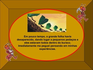 Em pouco tempo, a grande folha havia desaparecido, dando lugar a pequenos pedaços e eles estavam todos dentro do buraco. Imediatamente me peguei pensando em minhas experiências. 