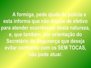 A formiga, pede ajuda da polícia e
esta informa que não dispõe de efetivo
para atender ocorrências desta natureza,
e, que também por orientação do
Secretário de Segurança que deseja
evitar confronto com os SEM TOCAS,
não pode atuar.
 