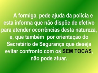 A formiga, pede ajuda da polícia e esta informa que não dispõe de efetivo para atender ocorrências desta natureza, e, que também  por orientação do Secretário de Segurança que deseja evitar confronto com os  SEM TOCAS , não pode atuar. 