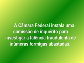 A Câmara Federal instala uma comissão de inquérito para investigar a falência fraudulenta de inúmeras formigas abastadas.  