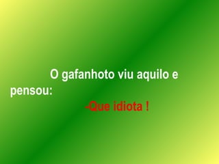 O gafanhoto viu aquilo e pensou:  -Que idiota ! 