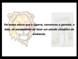 Foi nessa altura que a cigarra, convenceu o gerente, o
leão, da necessidade de fazer um estudo climático do
ambiente.
 