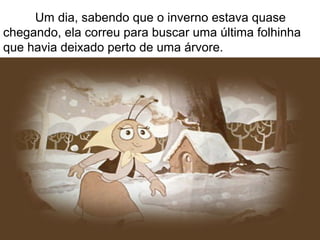Um dia, sabendo que o inverno estava quase
chegando, ela correu para buscar uma última folhinha
que havia deixado perto de uma árvore.
 