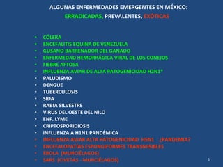 ALGUNAS ENFERMEDADES EMERGENTES EN MÉXICO: ERRADICADAS,  PREVALENTES,   EXÓTICAS   <ul><li>CÓLERA  </li></ul><ul><li>ENCEF...