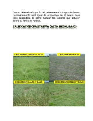 hoy un determinado punto del potrero es el más productivo no
necesariamente será igual de productivo en el futuro, pues
todo dependerá de cómo fluctúan los factores que influyen
sobre su fertilidad natural.

Calificación cualitativa (alto, medio, bajo)
 