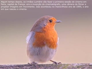 Algum tempo depois, os irmãos Lumière vão fazer a primeira sessão de cinema em
Paris, capital da França: era a invenção do cinematógrafo, uma câmera de filmar e
projetar imagens em movimento. Isso aconteceu no maravilhoso ano de 1895, o ano
em que nasceu o cinema.
 