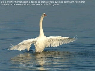 Daí a melhor homenagem a todos os profissionais que nos permitem relembrar
momentos de nossas vidas, com sua arte de fotografar
 