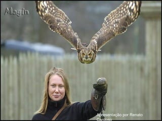 Apresentação por Renato
Cardoso
 