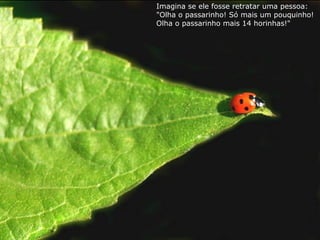 Imagina se ele fosse retratar uma pessoa:
"Olha o passarinho! Só mais um pouquinho!
Olha o passarinho mais 14 horinhas!"
 