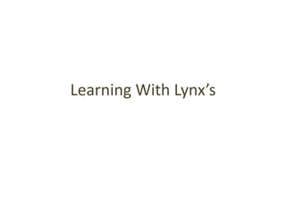 Learning With Lynx’s 