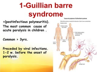 1-Guillian barre
syndrome
=(postinfectious polyneuritis).
The most common cause of
acute paralysis in children .
Common > 3yrs.
Preceded by viral infections.
1-2 w. before the onset of
paralysis.
23
 