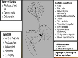 7
Organophosphrous pois
Tick born paralysis
 