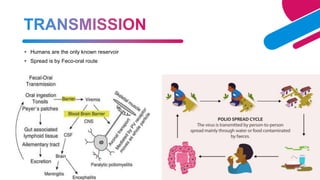 Acute flaccid paralysis , Polio , Transverse myelitis, AFP survillence ...