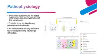 Acute flaccid paralysis , Polio , Transverse myelitis, AFP survillence ...