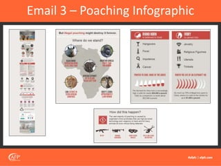 Email 3 – Poaching Infographic
 